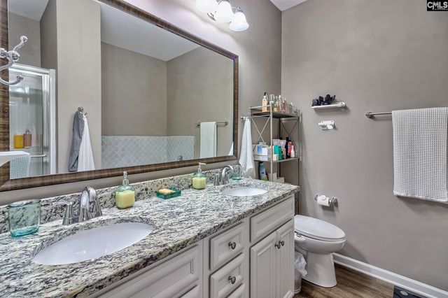329 Dolly Horn Lane, Chapin, SC 29036