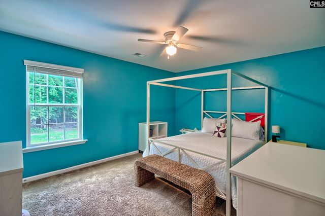 329 Dolly Horn Lane, Chapin, SC 29036