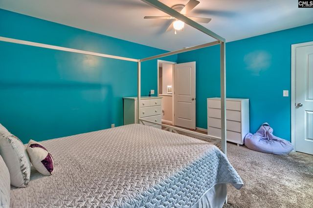 329 Dolly Horn Lane, Chapin, SC 29036