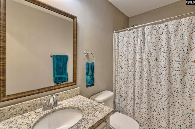 329 Dolly Horn Lane, Chapin, SC 29036
