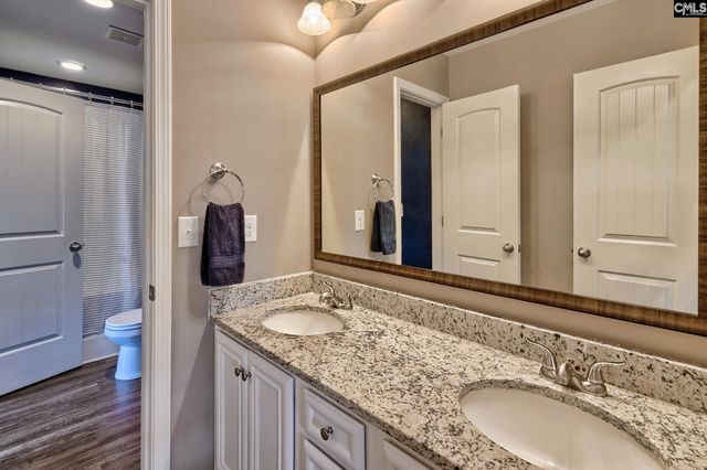 329 Dolly Horn Lane, Chapin, SC 29036