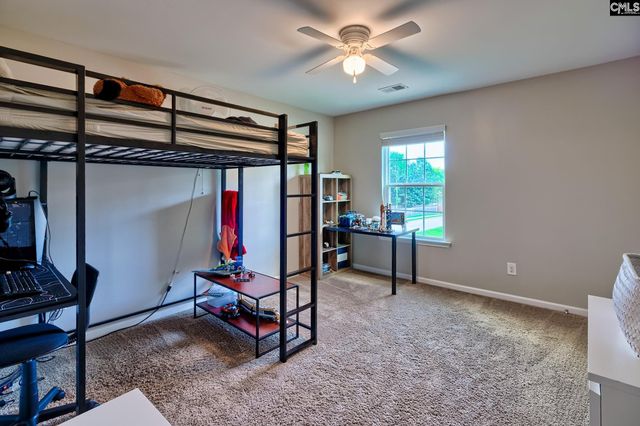 329 Dolly Horn Lane, Chapin, SC 29036
