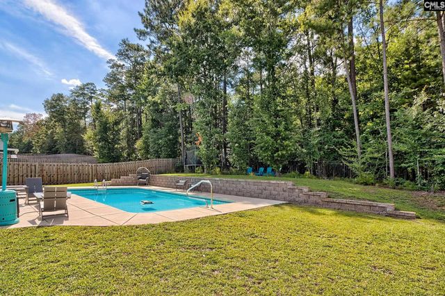 329 Dolly Horn Lane, Chapin, SC 29036