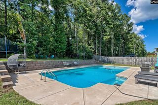 329 Dolly Horn Lane, Chapin, SC 29036