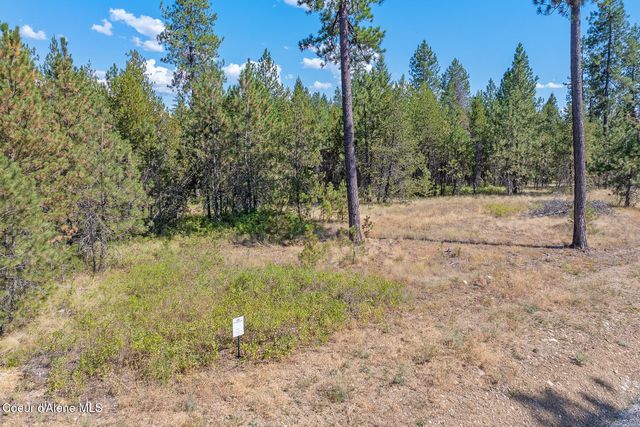 Lot 4 Dawson Lp, Athol, ID 83801