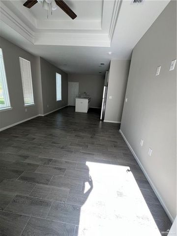 1036 Palm Drive, Alamo, TX 78516