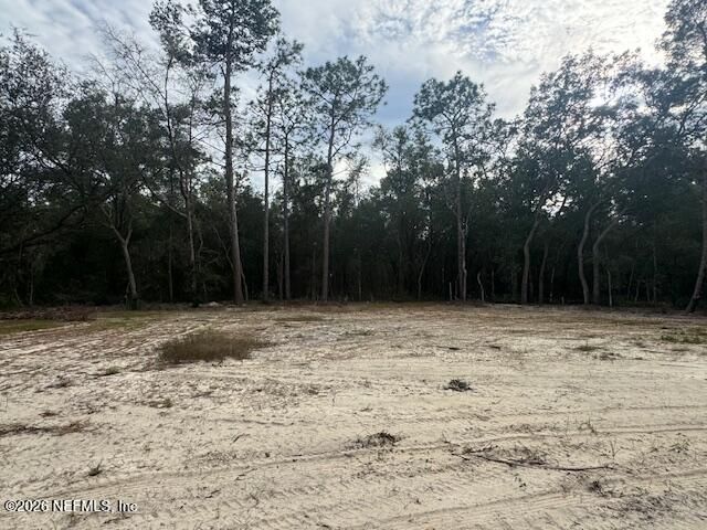 133 CHERRY DRIVE Drive, Pomona Park, FL 32181