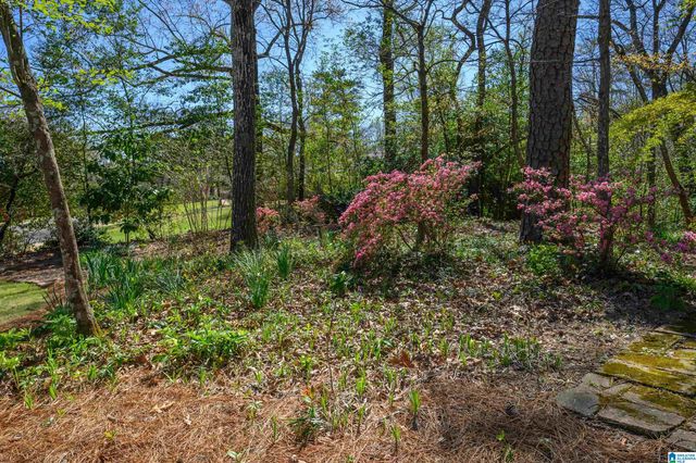 3820 N WOODRIDGE ROAD, Mountain Brook, AL 35223