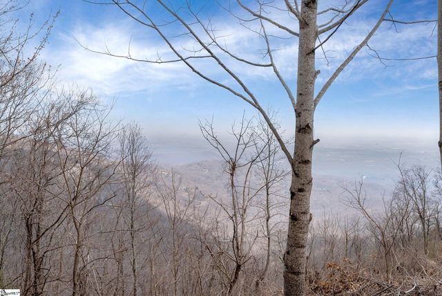 99 The Cliffs Parkway, Landrum, SC 29356