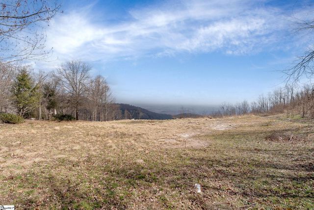 99 The Cliffs Parkway, Landrum, SC 29356