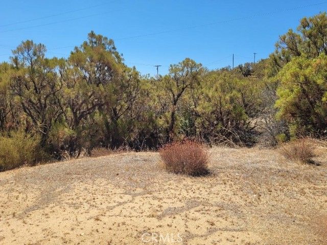 0 Terwilliger Road, Anza, CA 92539