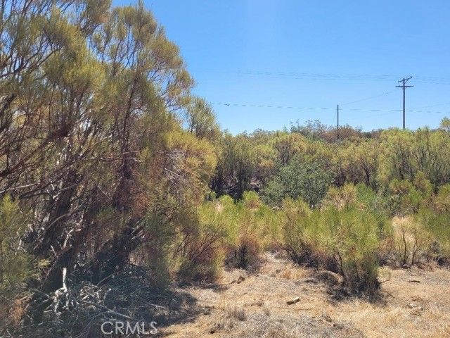 0 Terwilliger Road, Anza, CA 92539