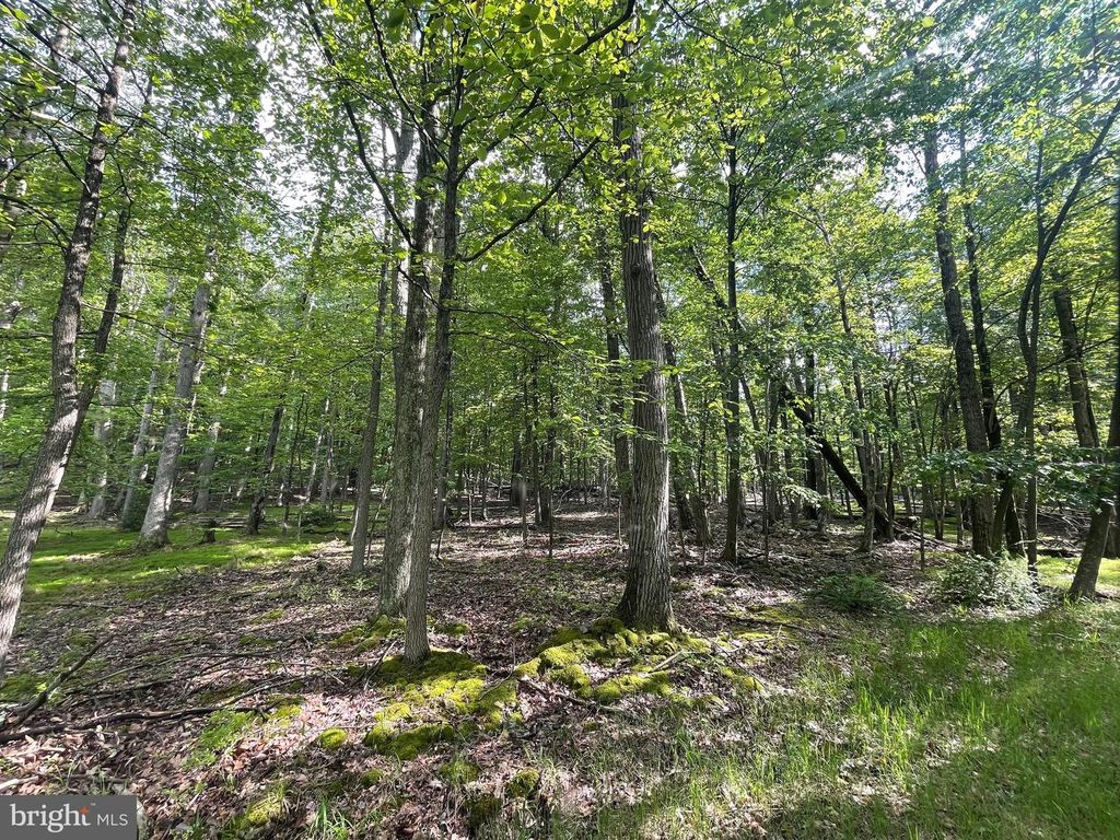 374 DAVOS CIRCLE, Zion Grove, PA 17985