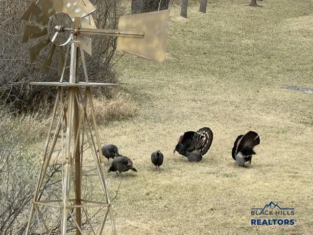 2602 SPRINGBROOK RD, Rapid City, SD 57702