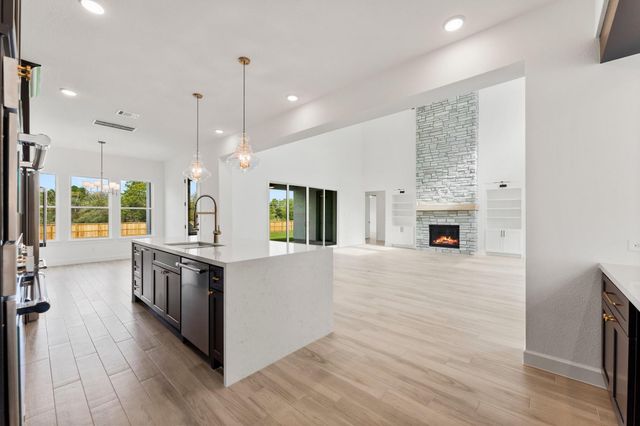 23315 Vista De Tres Lagos Drive, Spring, TX 77389