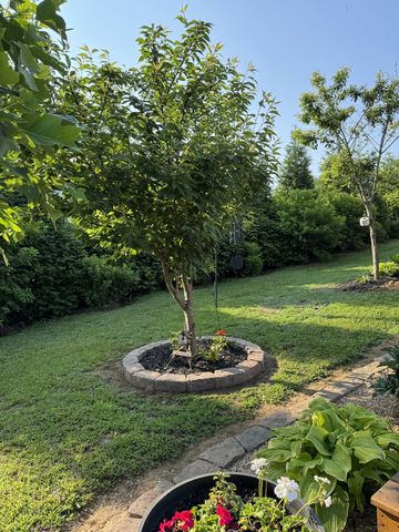 605 Compton Ln, Columbia, TN 38401