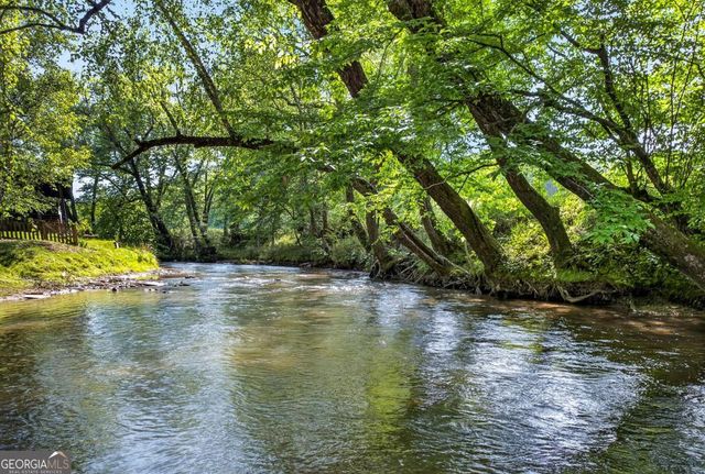 401 Mountain Rivers Road, Mineral Bluff, GA 30559