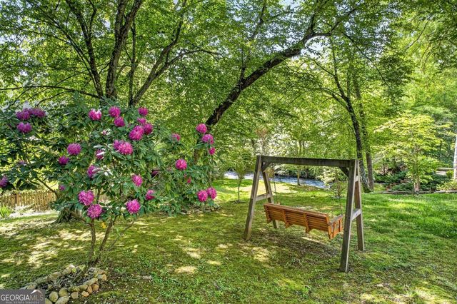 401 Mountain Rivers Road, Mineral Bluff, GA 30559
