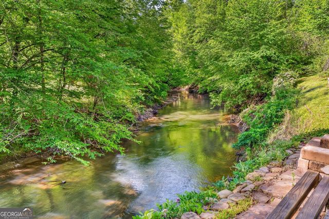 401 Mountain Rivers Road, Mineral Bluff, GA 30559
