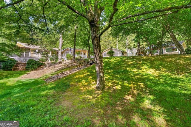 401 Mountain Rivers Road, Mineral Bluff, GA 30559