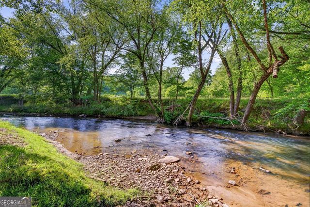 401 Mountain Rivers Road, Mineral Bluff, GA 30559