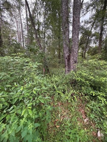 6033 E DELL LANE, Inverness, FL 34452