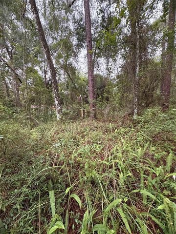 6033 E DELL LANE, Inverness, FL 34452