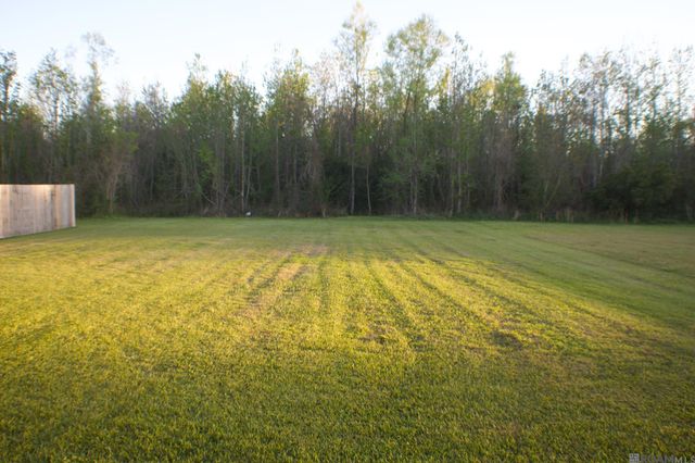 1322 Pine Bluff Ave, Zachary, LA 70791