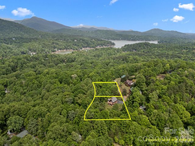 173 Mistletoe Park, Lake Lure, NC 28746