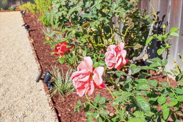 832 Mary Court, Campbell, CA 95008