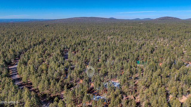 7185 Moon Creek Circle, Pinetop, AZ 85935