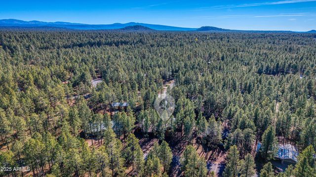 7185 Moon Creek Circle, Pinetop, AZ 85935