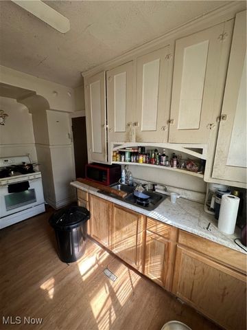 3377 E 132nd Street, Cleveland, OH 44120