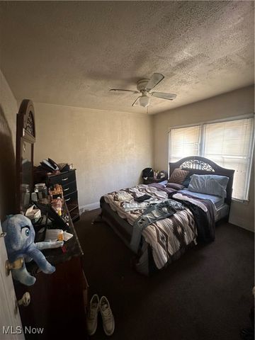 3377 E 132nd Street, Cleveland, OH 44120