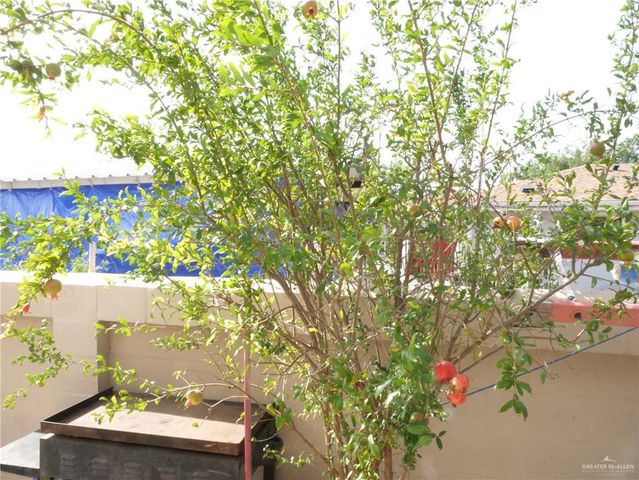 1212 Bobby Drive, Donna, TX 78537