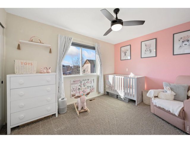 715 Mt Evans Ave, Severance, CO 80550