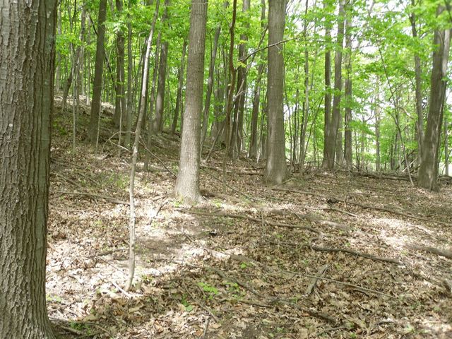 S Lakeshore Drive, Ludington, MI 49431