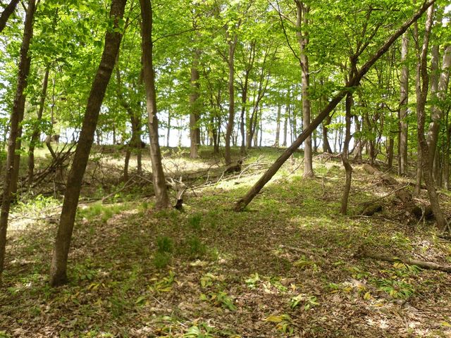 S Lakeshore Drive, Ludington, MI 49431