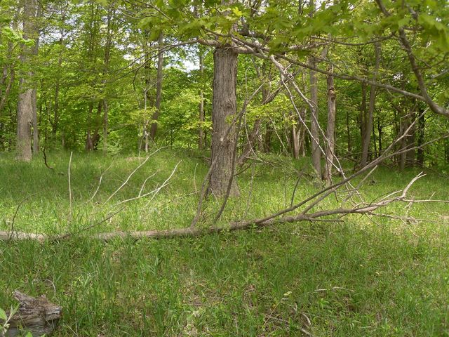 S Lakeshore Drive, Ludington, MI 49431