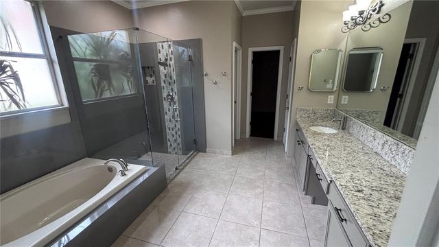 4613 RIVER OVERLOOK DRIVE, Valrico, FL 33596