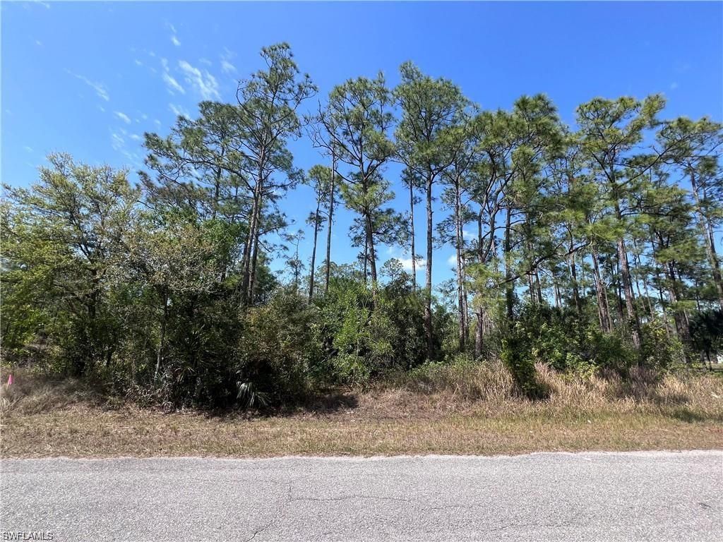 1317 Washington AVE, LEHIGH ACRES, FL 33972 — exterior