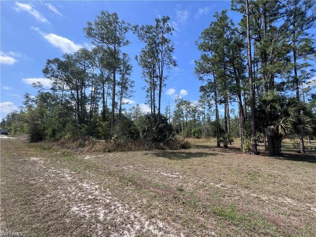 1317 Washington AVE, LEHIGH ACRES, FL 33972 — photo 3