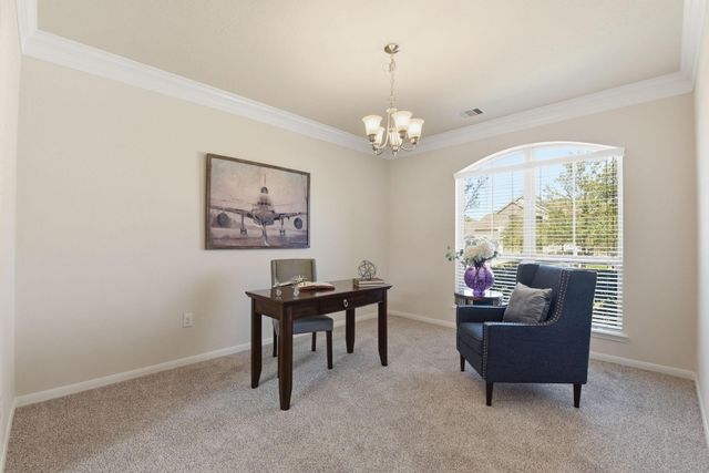 23426 Banks Mill Drive, New Caney, TX 77357