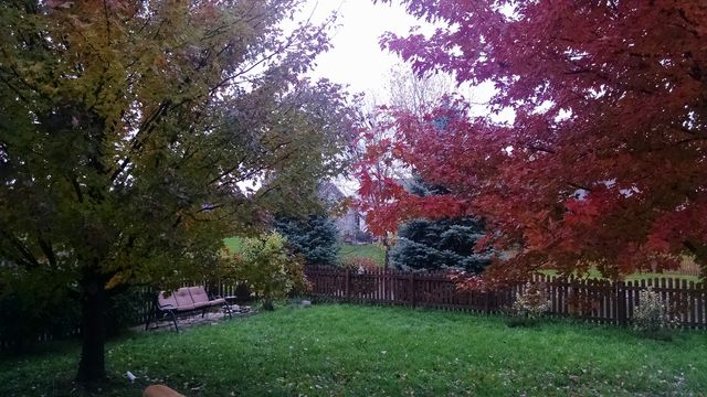 1409 Bridgehampton Drive, Plainfield, IL 60586