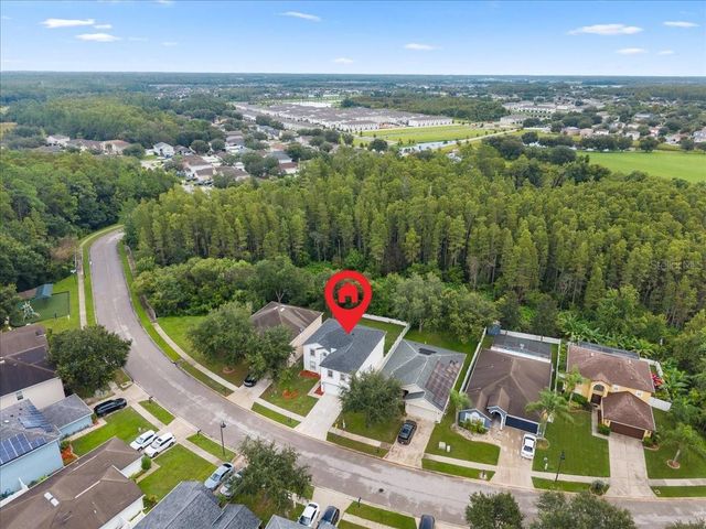 3336 BELLERICAY LANE, Land O Lakes, FL 34638
