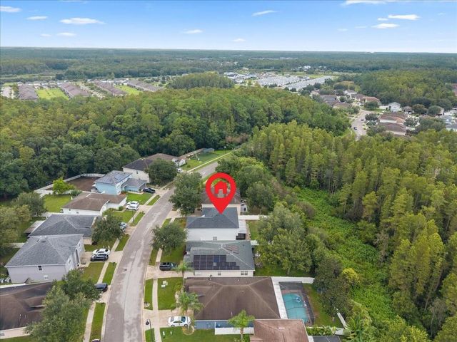 3336 BELLERICAY LANE, Land O Lakes, FL 34638