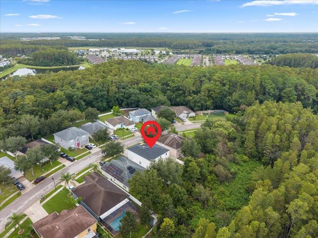 3336 BELLERICAY LANE, Land O Lakes, FL 34638