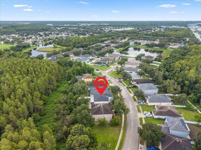 3336 BELLERICAY LANE, Land O Lakes, FL 34638