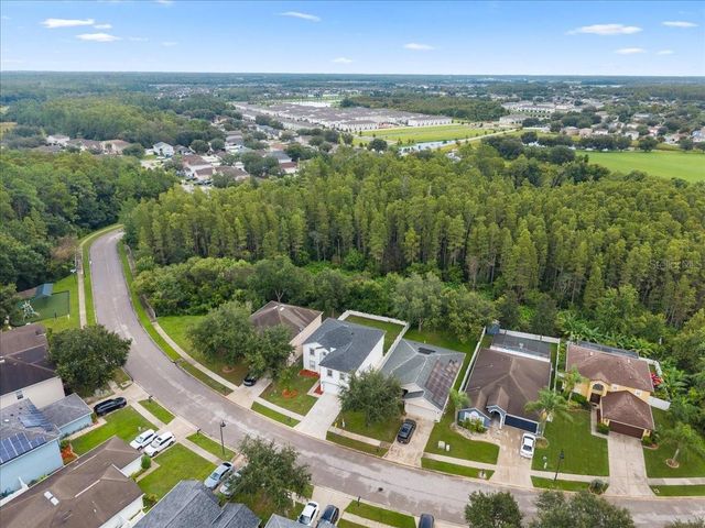 3336 BELLERICAY LANE, Land O Lakes, FL 34638