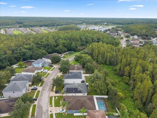 3336 BELLERICAY LANE, Land O Lakes, FL 34638